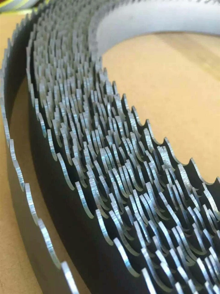HANGZHOU-FUWEISI-SAW-INDUSTRY-CO-LTD- - 2023-03-09T102742.362