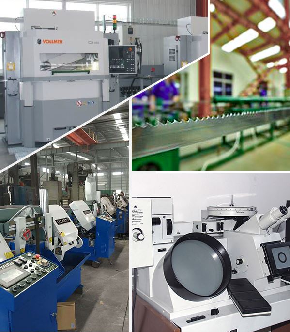 Hangzhou  Fuweisi  Säge  Industrie  Co.,  Ltd.